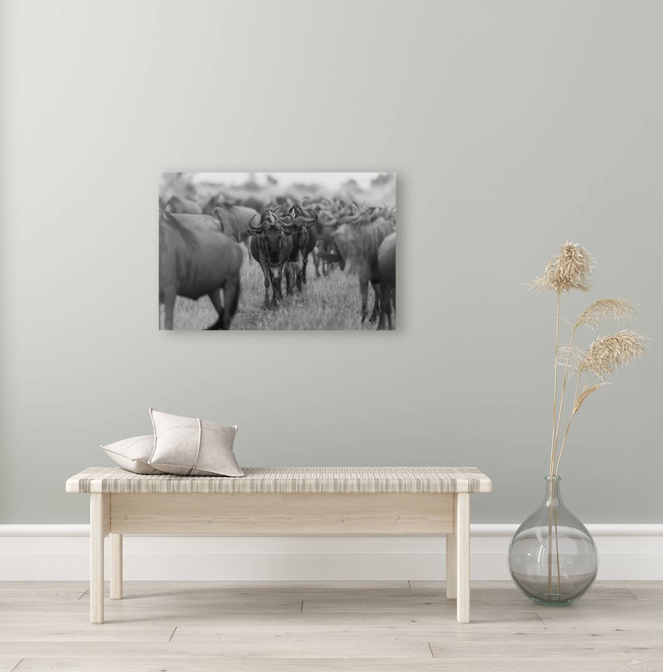 The Herd Reproduction