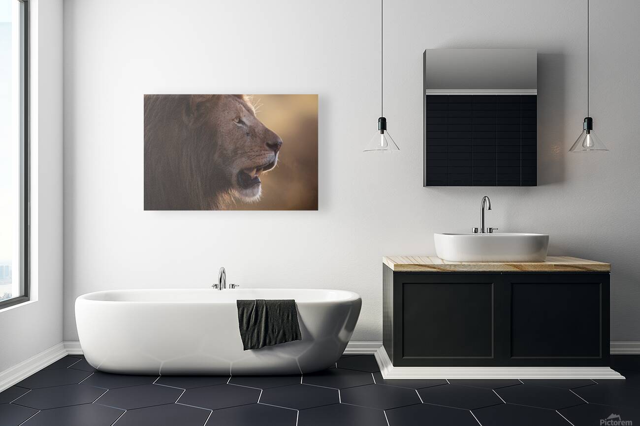 Before the Roar Reproduction