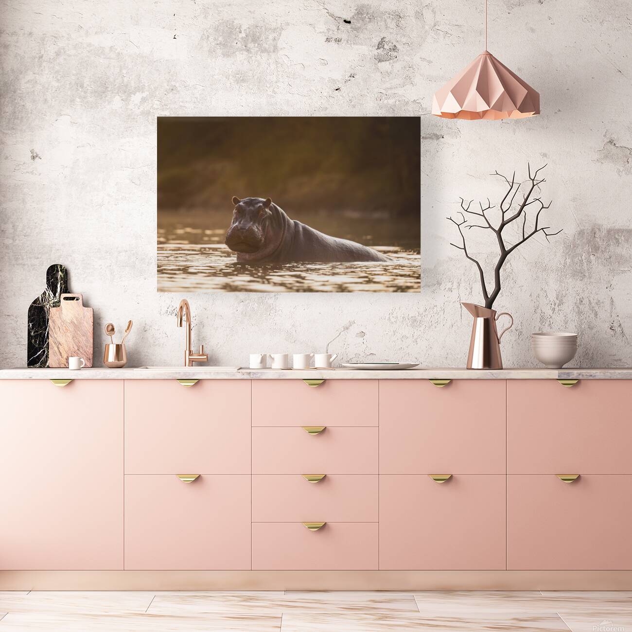 Hippo Hour Reproduction