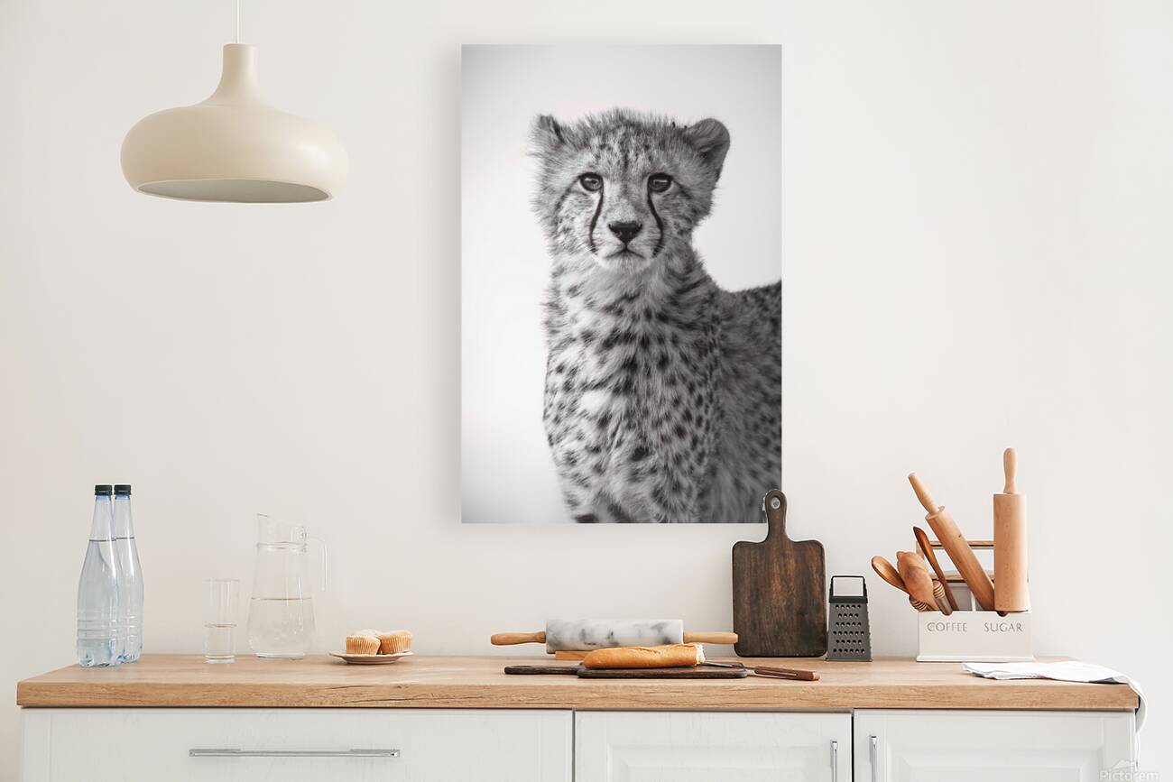 Cheetah Chic B&W Reproduction