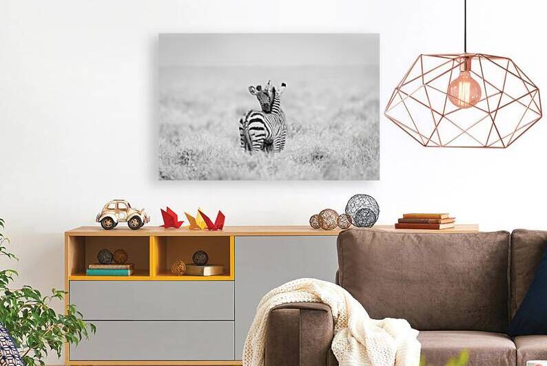 Zebra Hugzz Reproduction