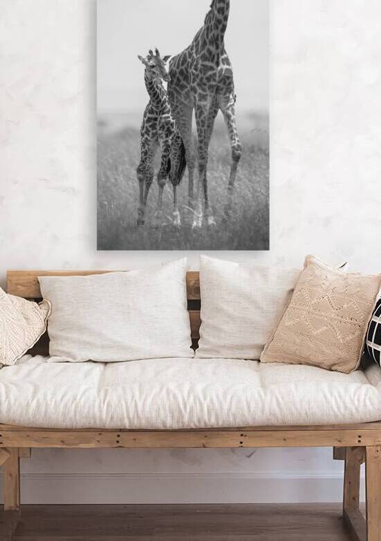 The Tallest Love B&W by Irena Or Wildlife Photography