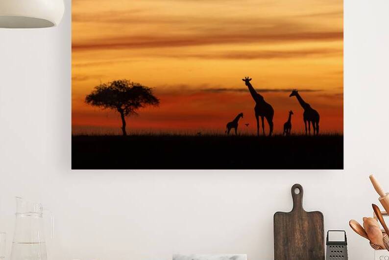  The Long-Necked Skyline by Irena Or Wildlife Photography