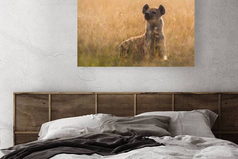 Hyena Glow-Up Reproduction
