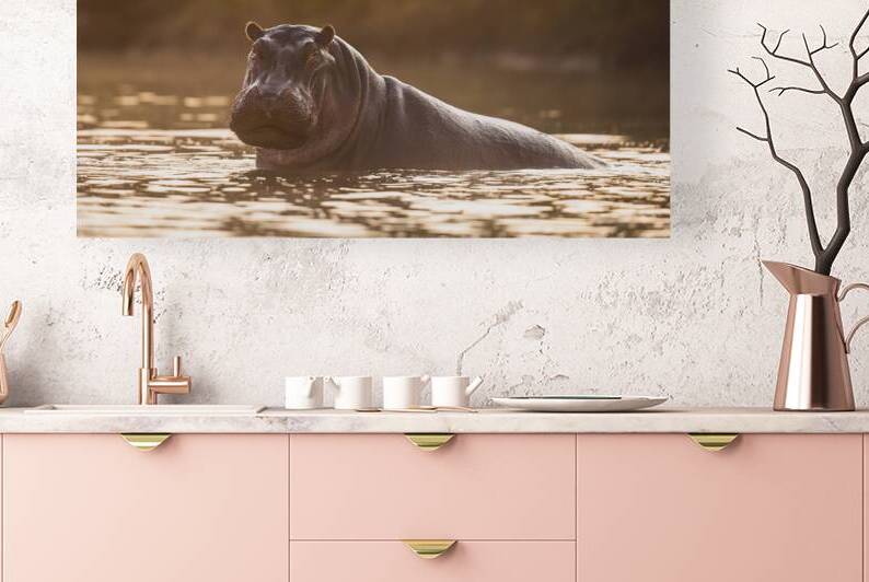 Hippo Hour by Irena Or Wildlife Photography