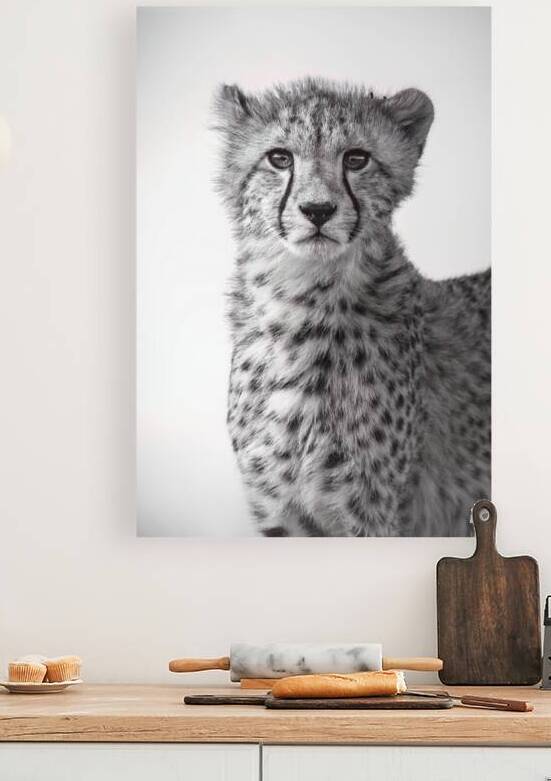 Cheetah Chic B&W Reproduction
