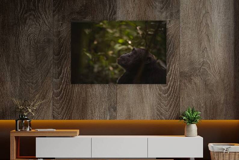 Thinking of You by Irena Or Wildlife Photography