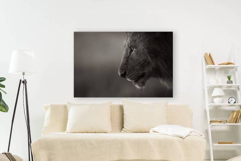 Scarface by Irena Or Wildlife Photography