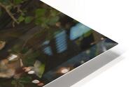 Stealth Mode HD Metal print
