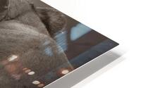 Paws Up   HD Metal print