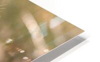 Bite-Sized Love HD Metal print