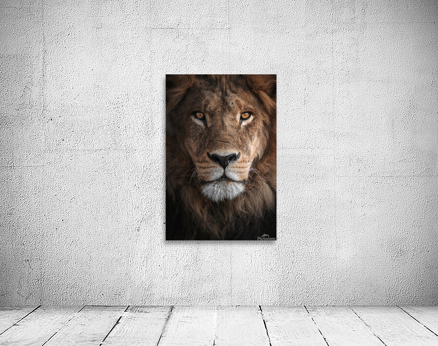 The pride sentinel  Wall Preview