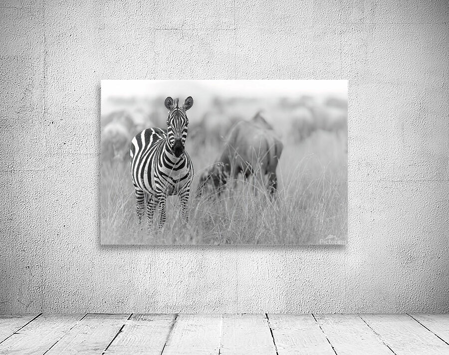 Standing Out Wall Preview