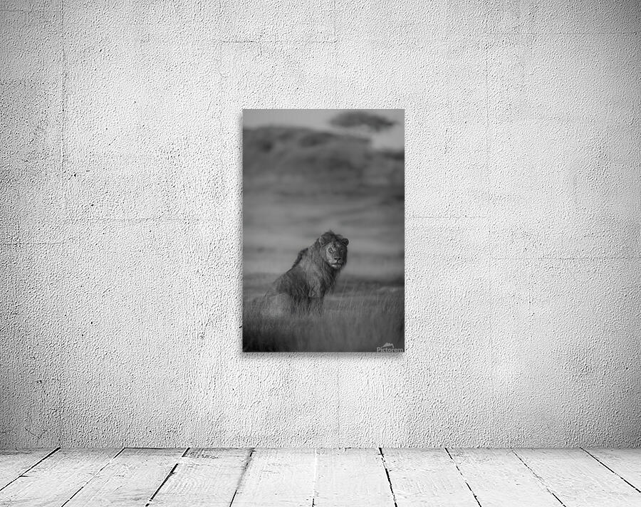 Noble Pause B&W Wall Preview