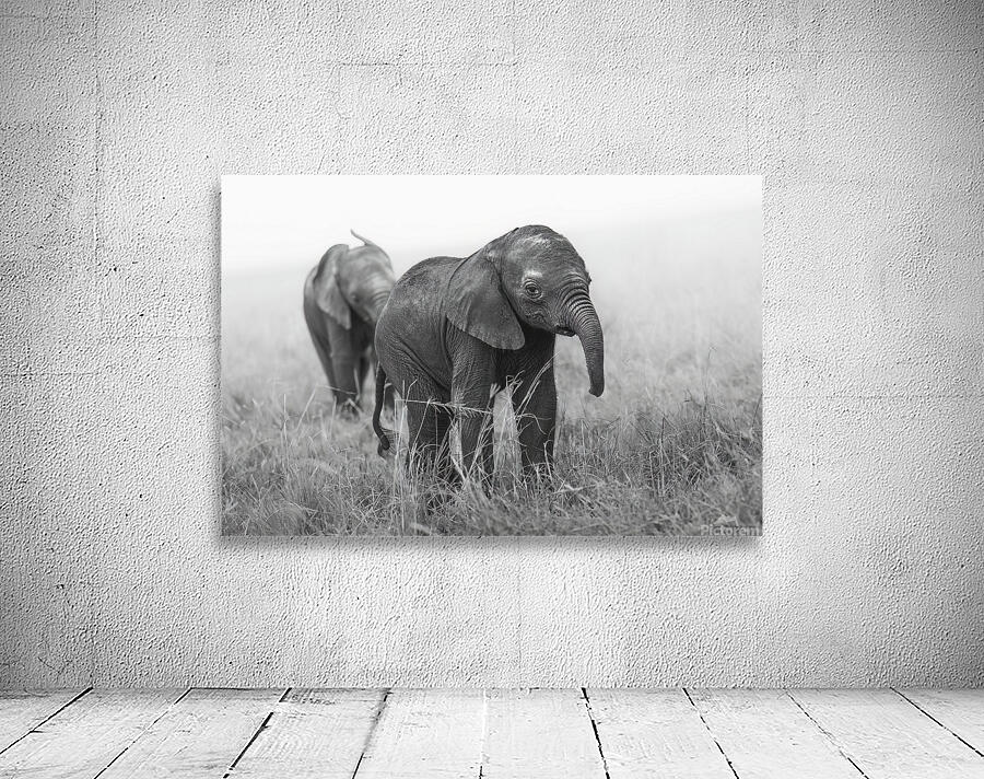 Tiny Titan B&W Wall Preview