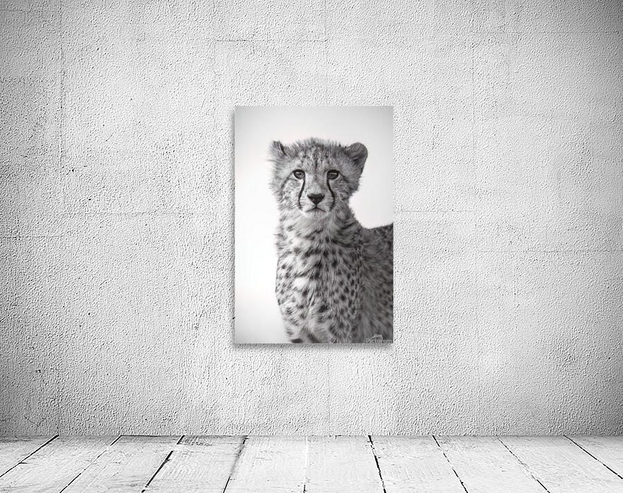 Cheetah Chic B&W Wall Preview