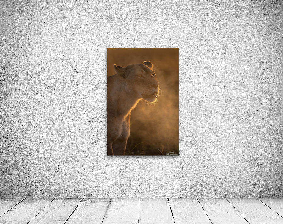 Fierce at First Light Wall Preview