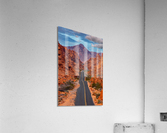Mouses Tank Rd Acrylic Print