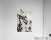 Nordeste   Brazil 3 Acrylic Print