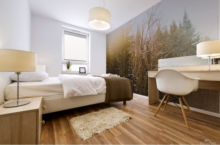 Quebec   Canada 2 Mural print