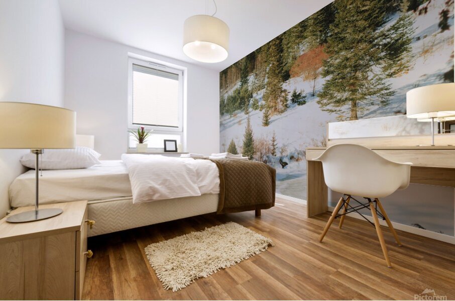 Quebec   Canada 4 Mural print