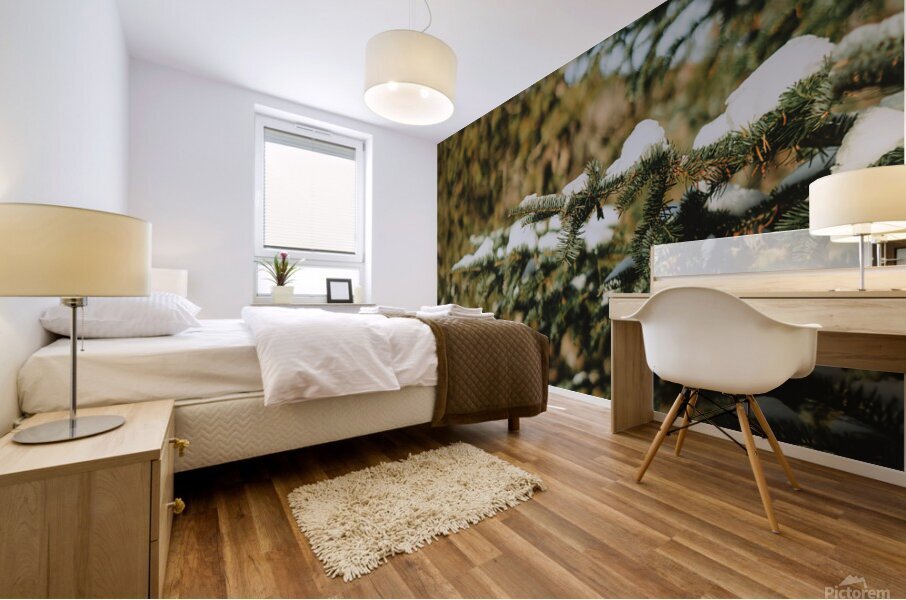 Quebec   Canada 5 Mural print