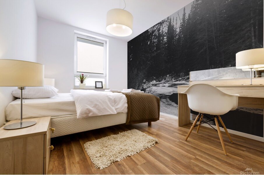 Quebec   Canada 9 Mural print