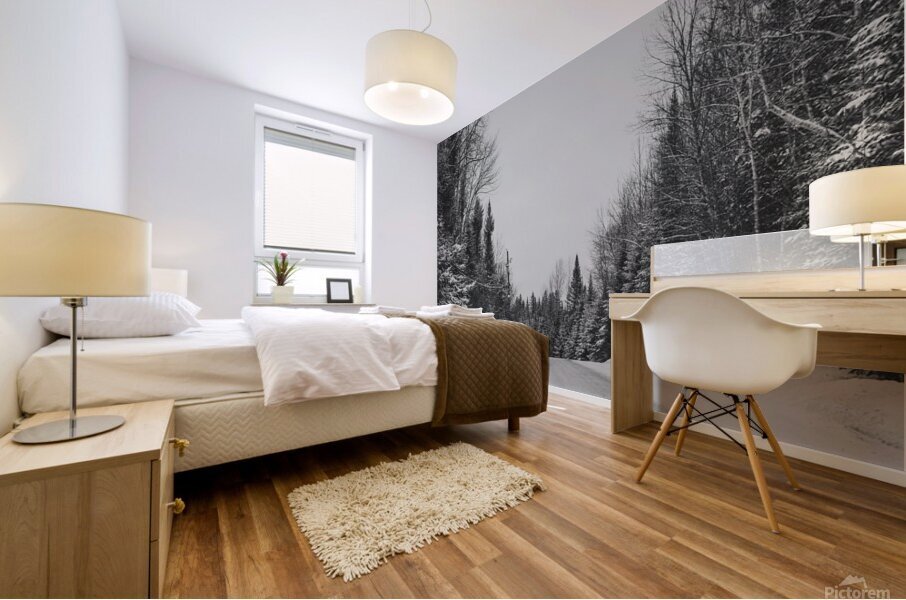 Quebec   Canada 1 Mural print