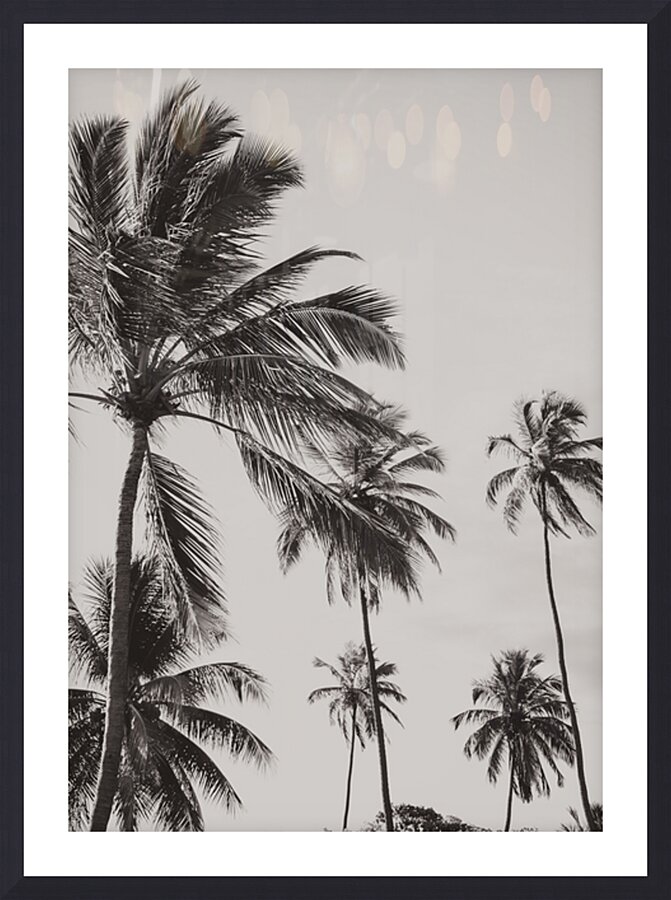 Nordeste   Brazil 3 Picture Frame print