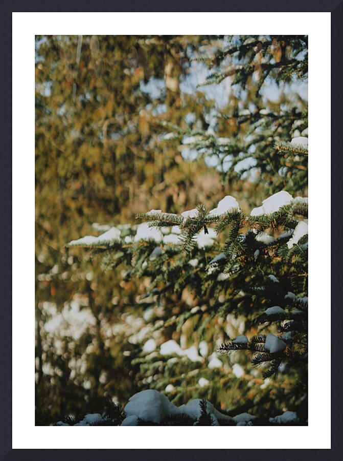 Quebec   Canada 5 Picture Frame print