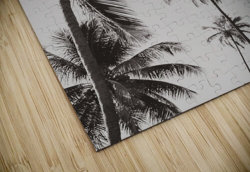 Nordeste   Brazil 3 Rosane Dias   Rovie puzzle