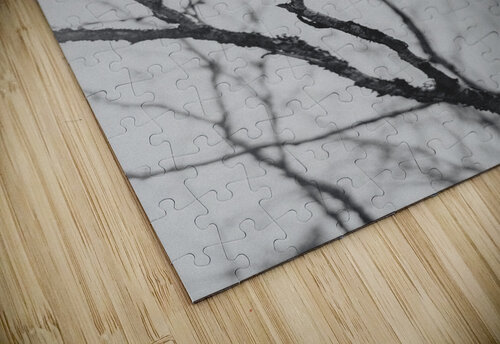Quebec   Canada 6 Rosane Dias   Rovie puzzle