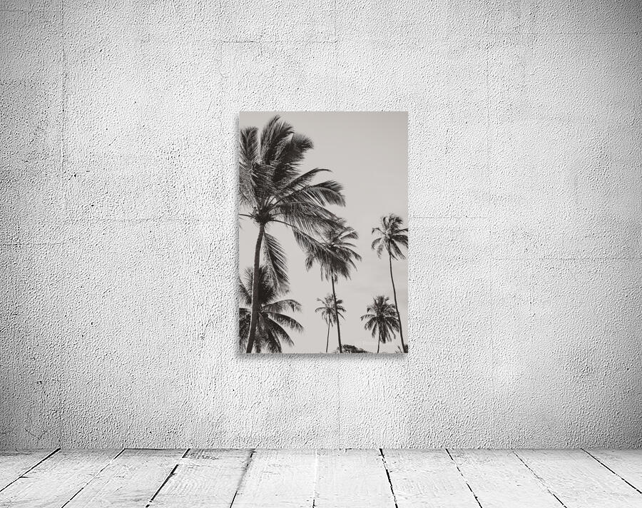 Nordeste   Brazil 3 Wall Preview