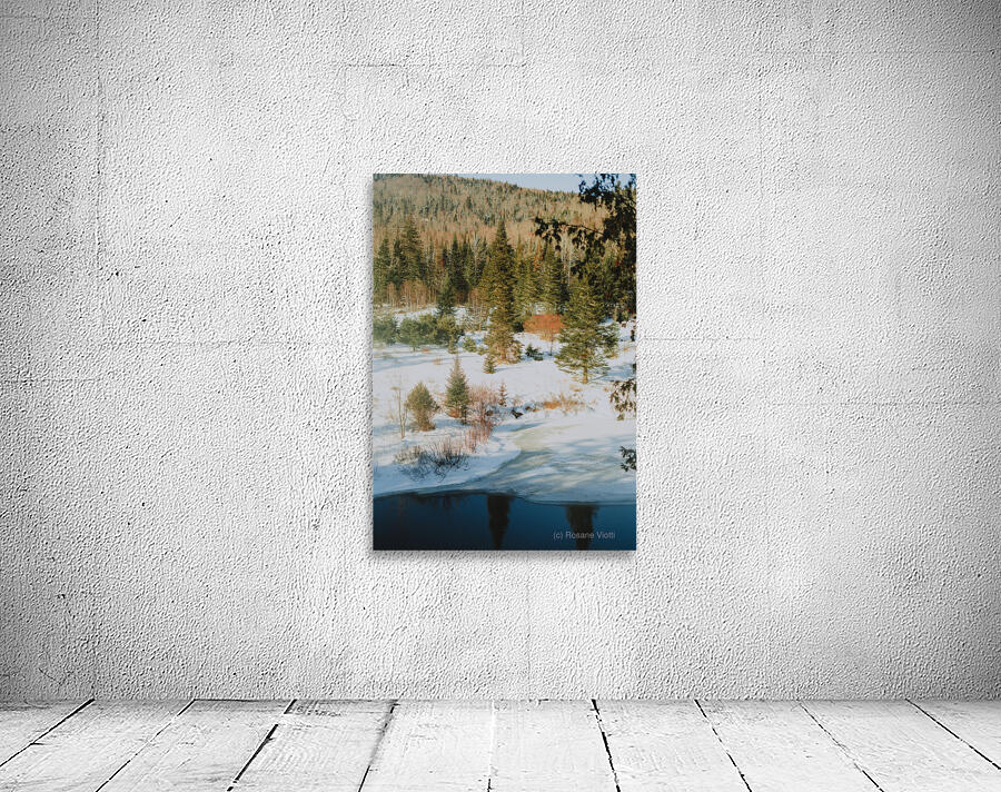 Quebec   Canada 4 Wall Preview