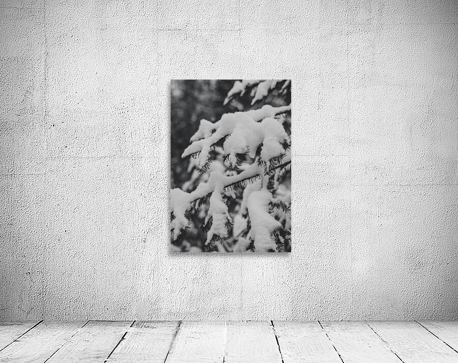 Quebec   Canada 3 Wall Preview