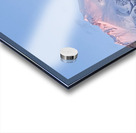 Mount Shasta Pink and Gold Alpenglow Acrylic print