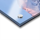 May Mount Shasta Glow Acrylic print