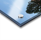 Mount Shasta and Trees Acrylic print