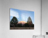 Mount Shasta and Trees Acrylic Print