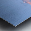 Mount Shasta Pink and Gold Alpenglow Metal print