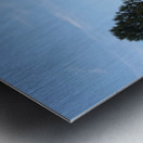 Mount Shasta and Trees Metal print