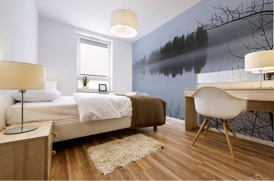 Winter Mist on Lake Siskiyou Mural print