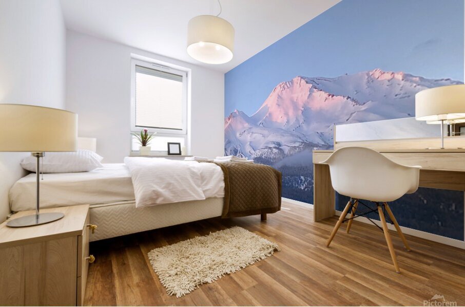 May Alpenglow Mount Shasta Landscape Mural print