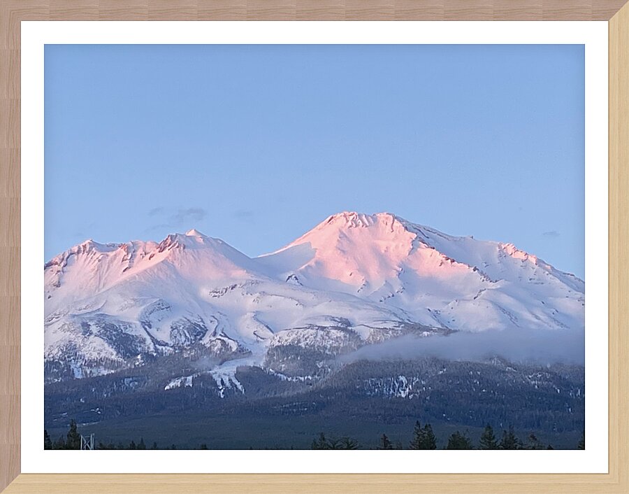 Mount Shasta Pink and Gold Alpenglow Picture Frame print