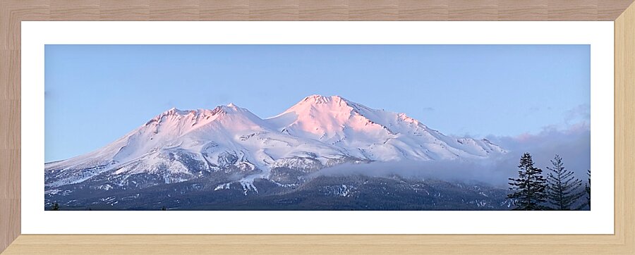 May Alpenglow Mount Shasta Landscape Picture Frame print