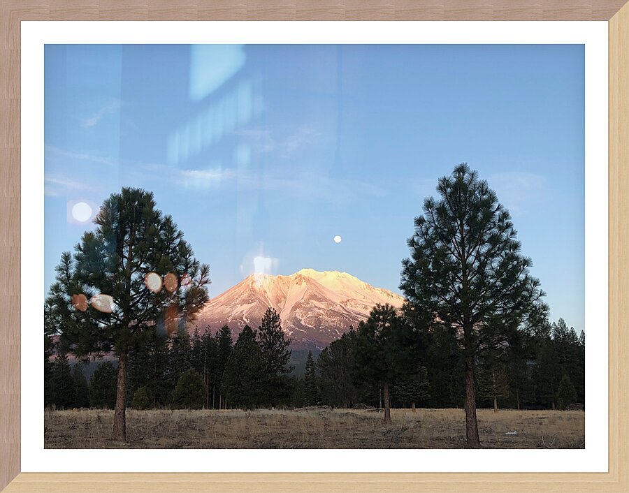 Mount Shasta and Trees Picture Frame print