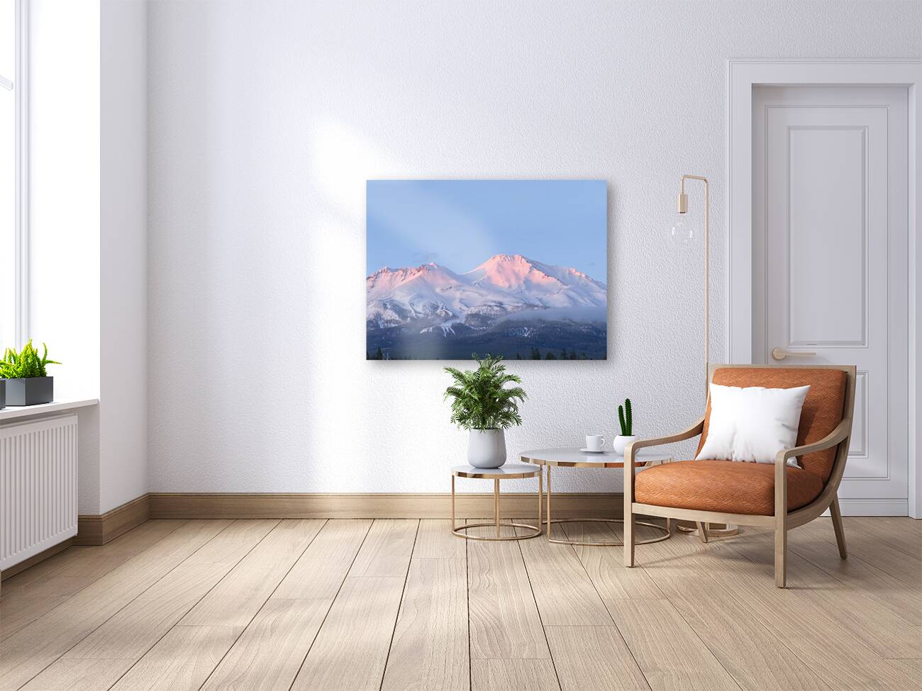 Mount Shasta Pink and Gold Alpenglow Reproduction
