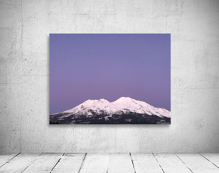 Lavender Sky Forever Wall Preview