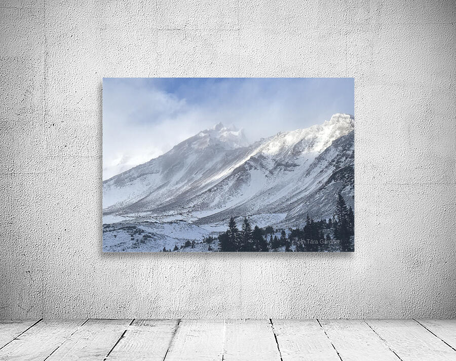Mount Shasta First Snow with Blue Sky Wall Preview