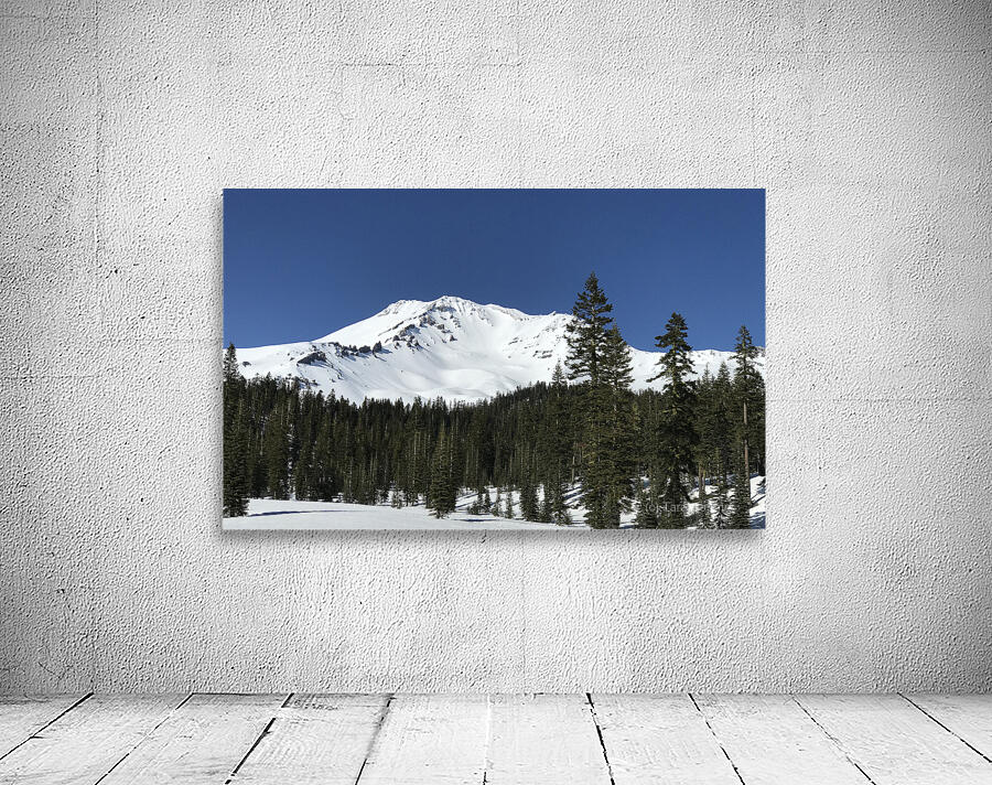 Deep Blue Snow Day Wall Preview